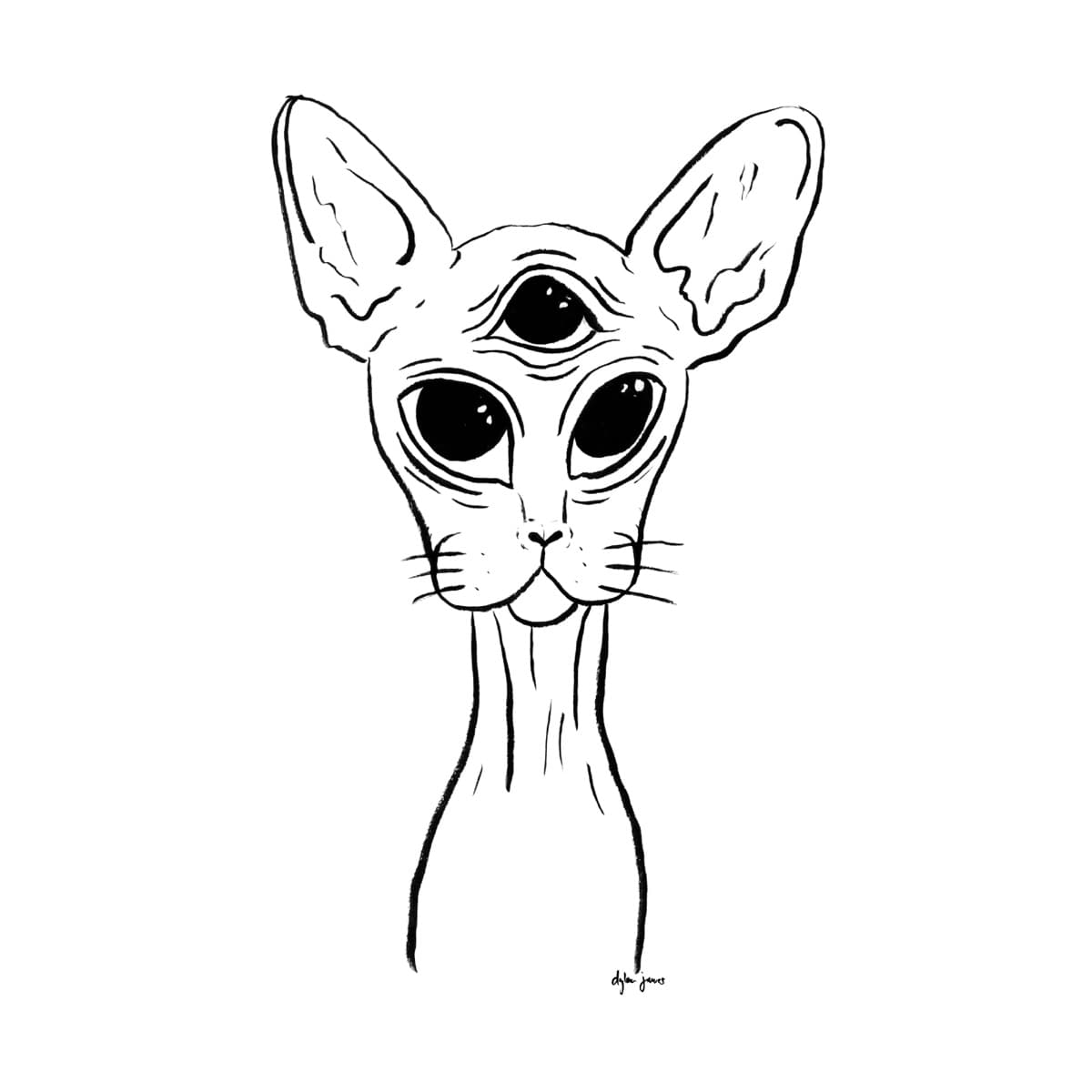All Seeing Siamese
