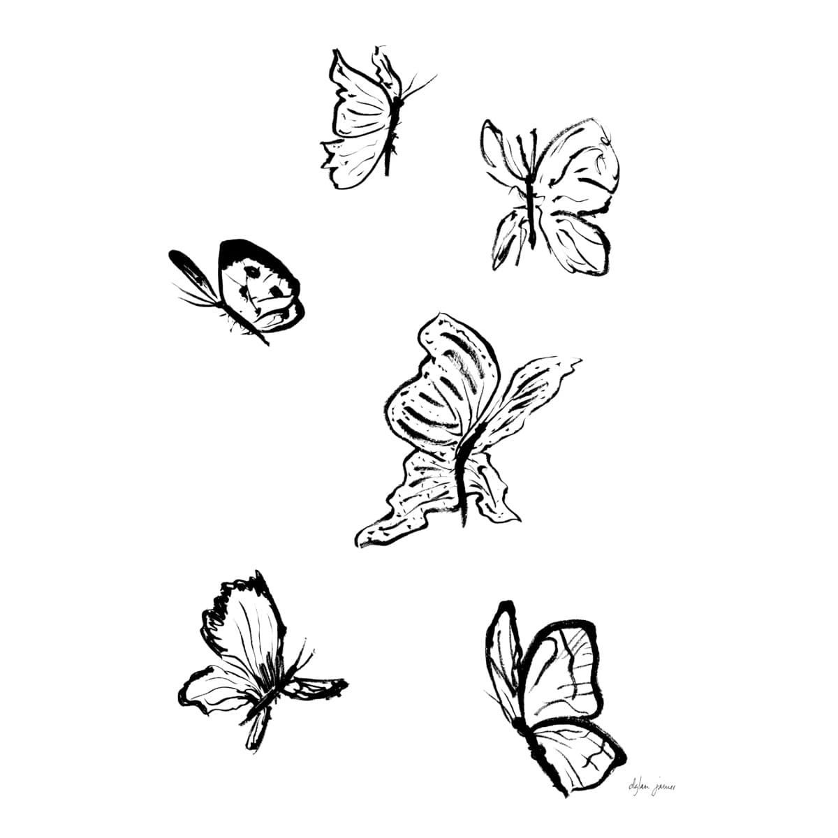 Butterflies