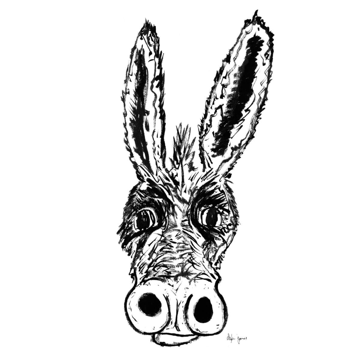 Donnie Donkey