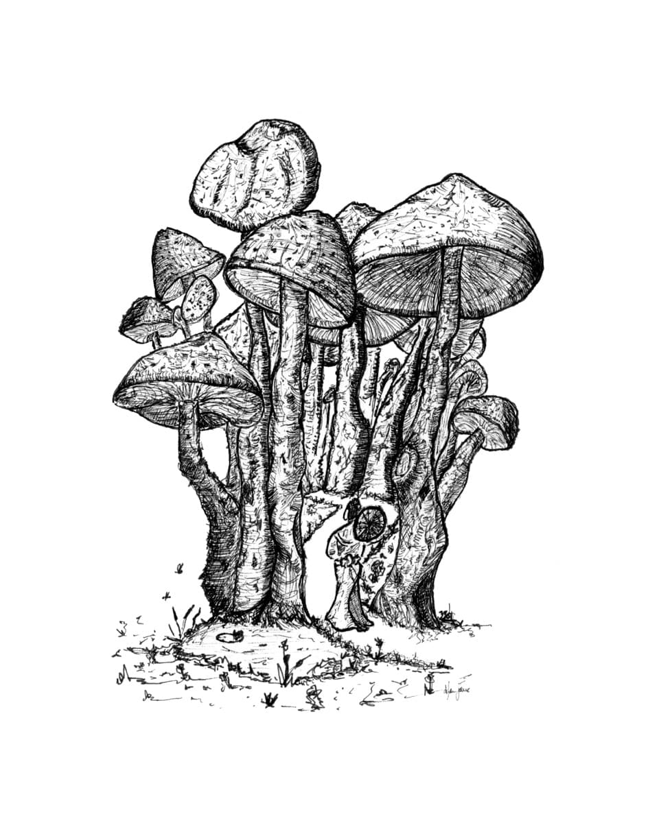 Mushroom 01