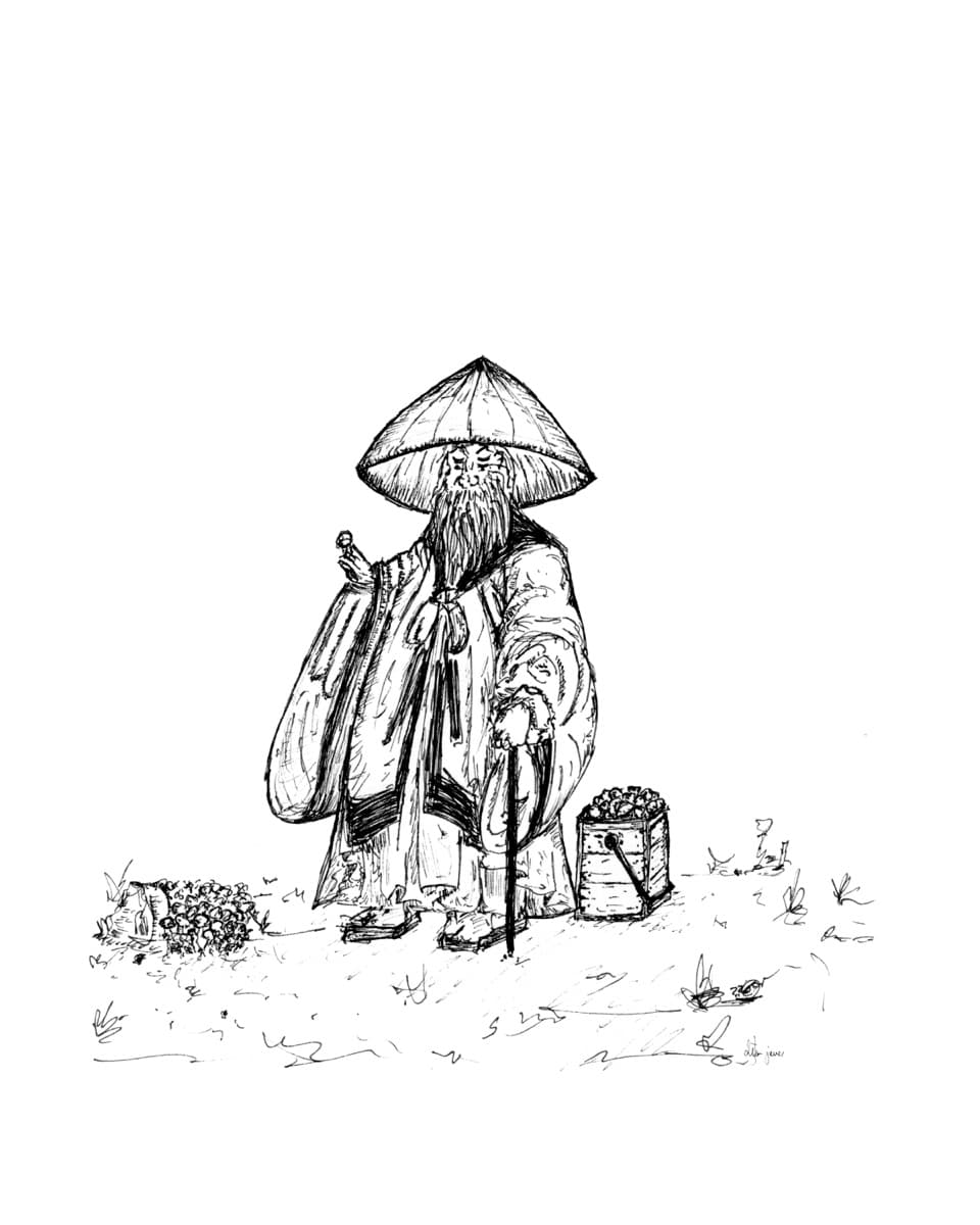 Mushroom 04