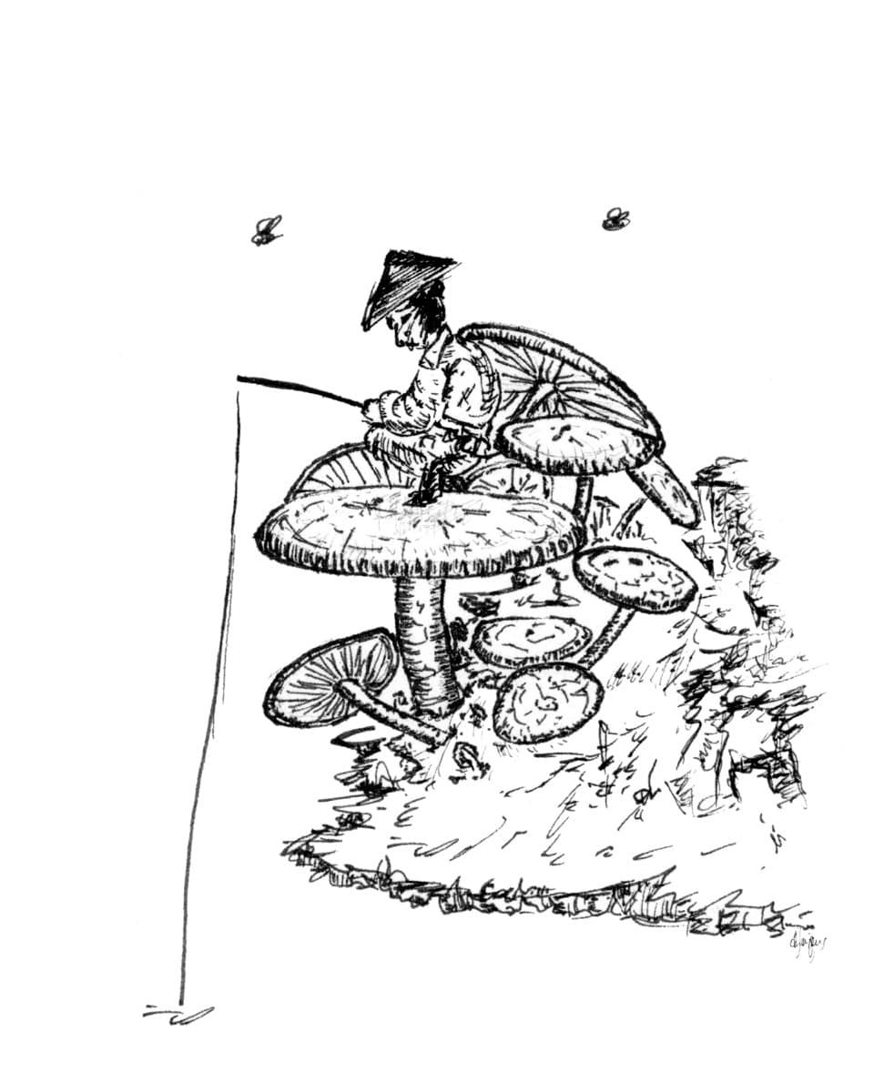 Mushroom 05