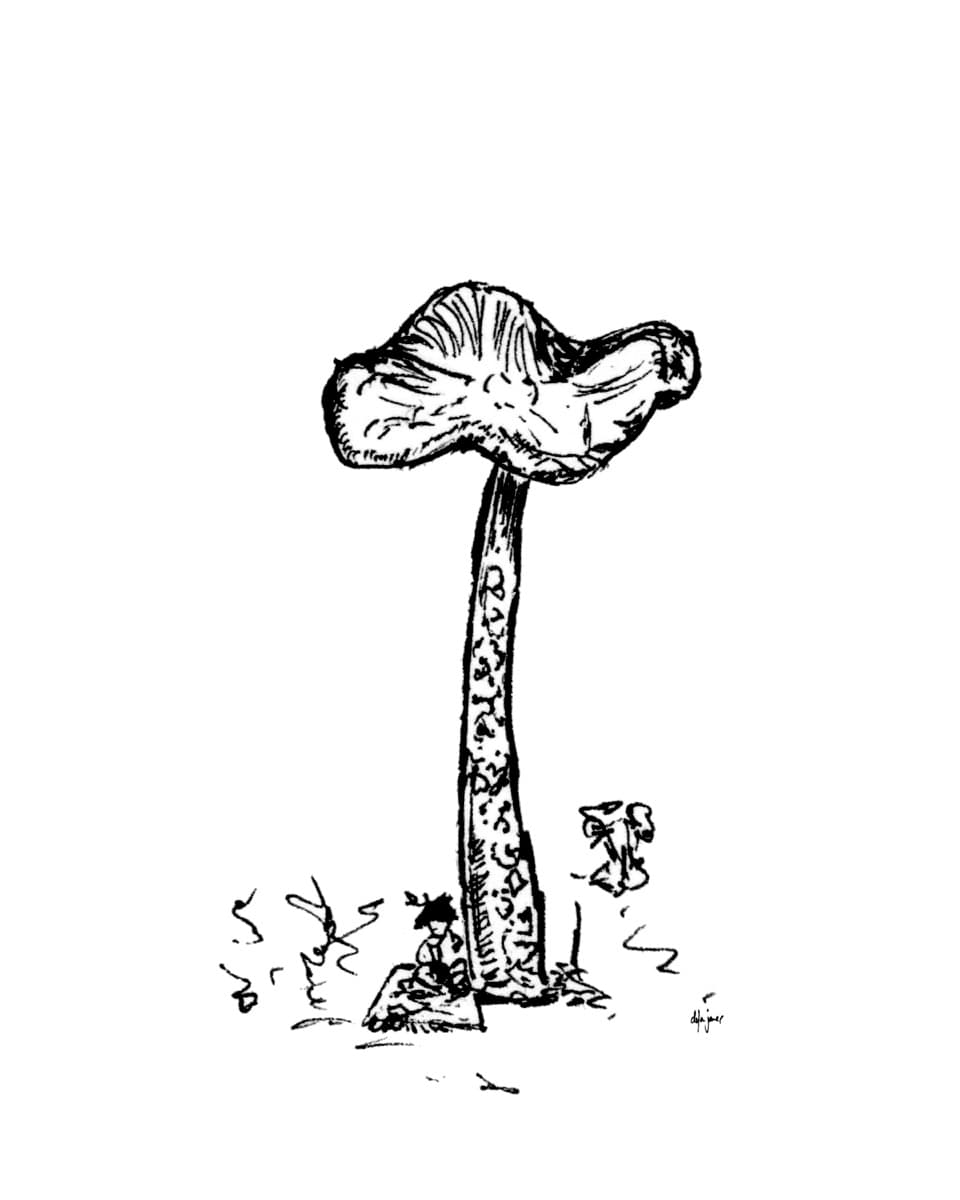 Mushroom 06