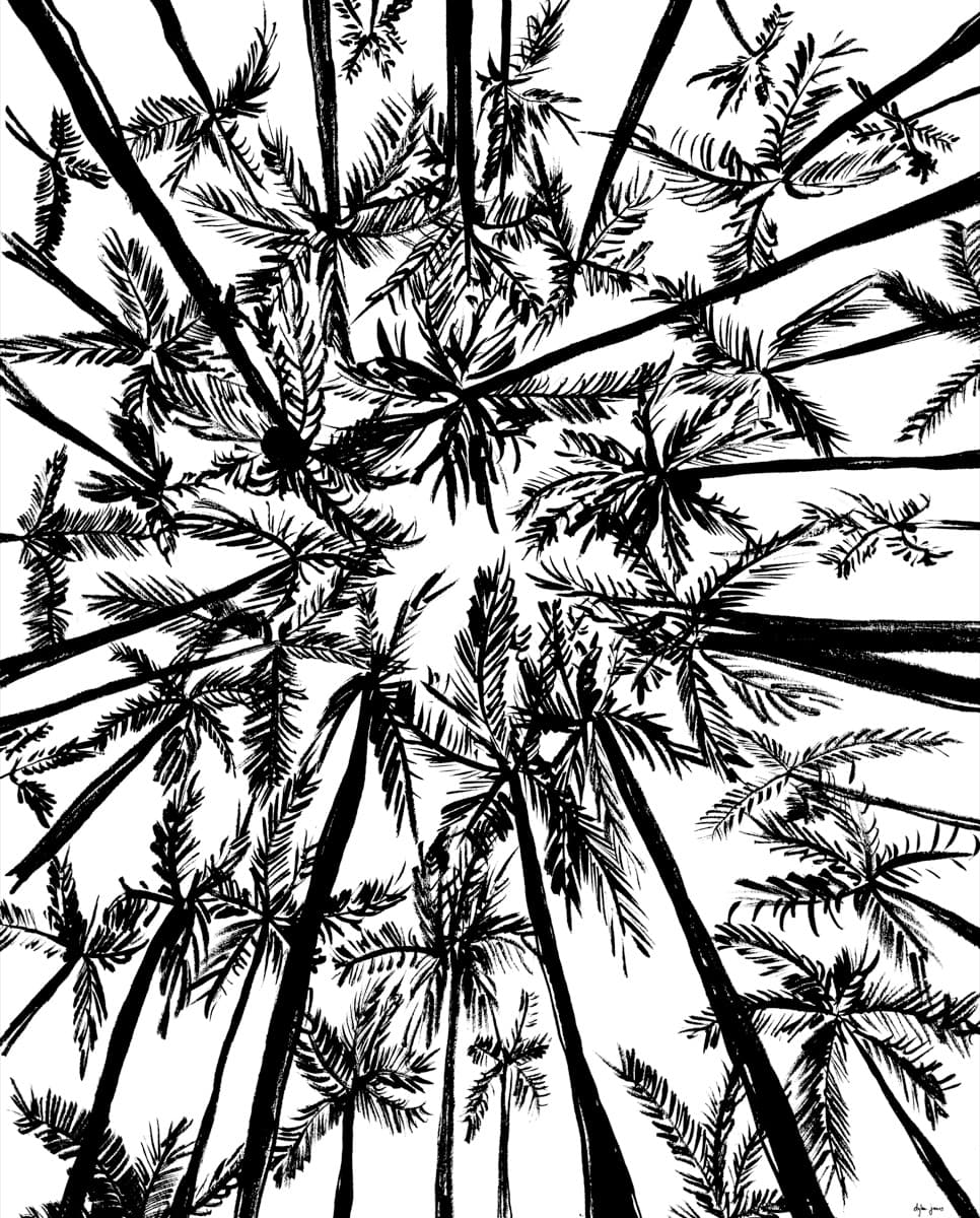 Untitled work by Dylan James Yarter